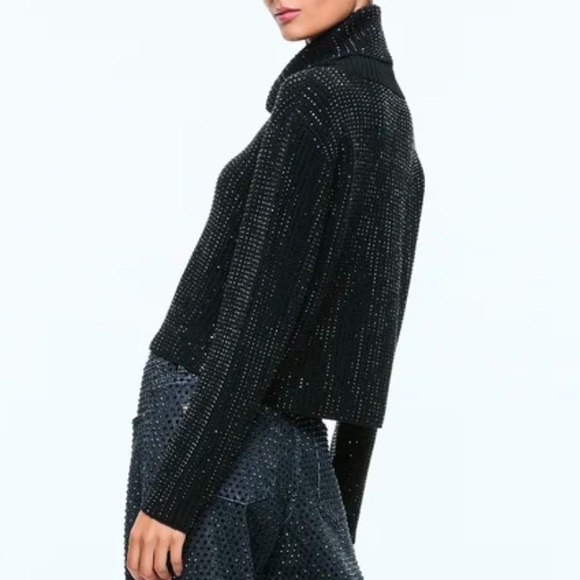 New Alice and Olivia Corin pullover - Picture 2 of 8